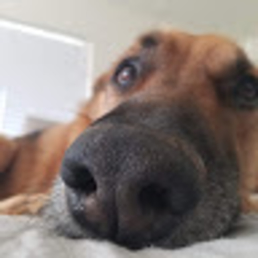 Meet your Posher, Brittney